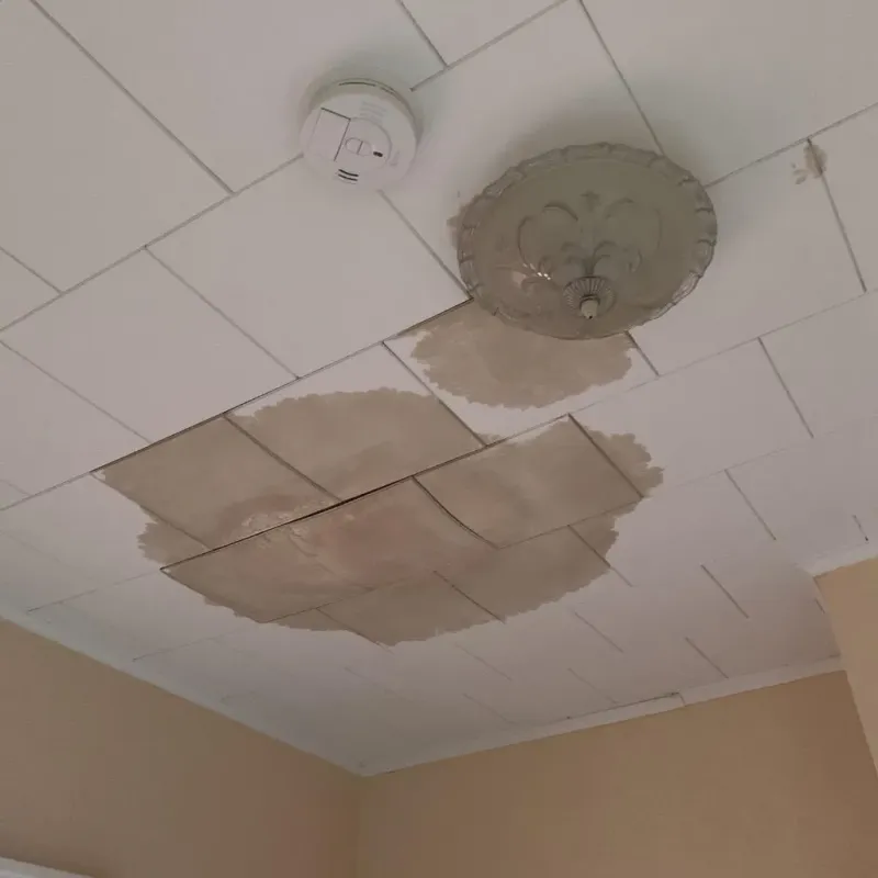 Ceiling Water Damage Repair in Crump, TN