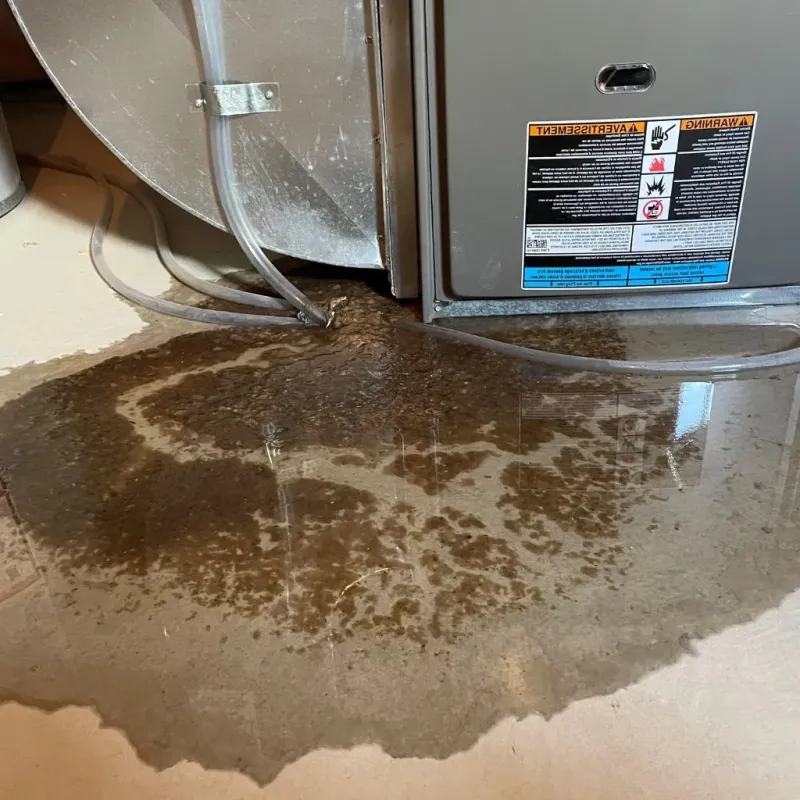 Pipe Burst and Leak Restoration in Crump, TN