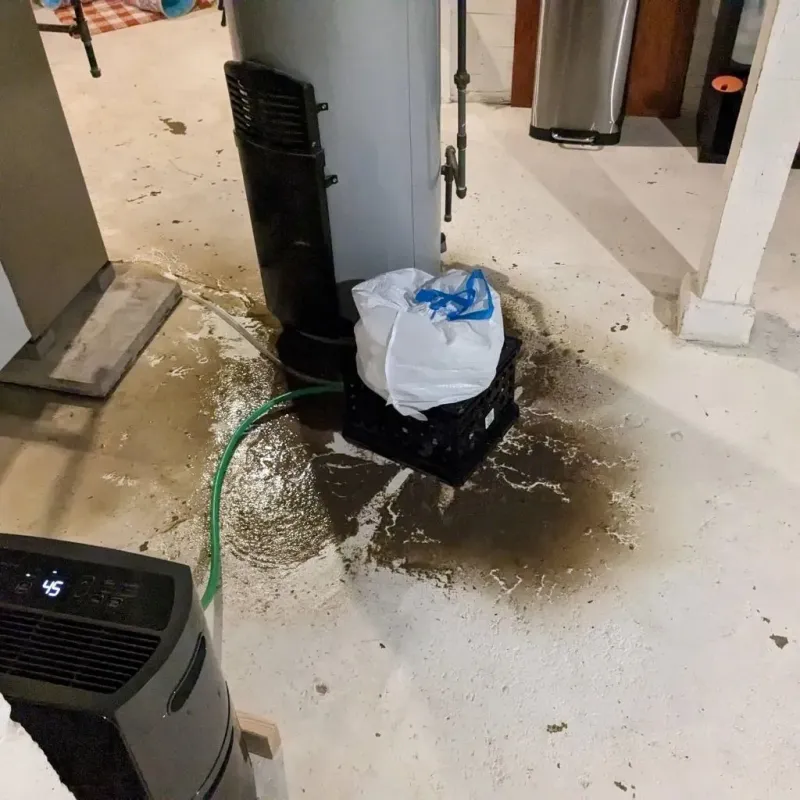 Sewage Backup Cleanup Service in Crump, TN